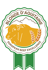 Blonde d’Aquitaine: European Beef Excellence