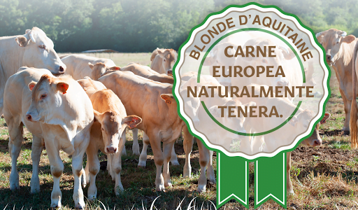 Blonde d'Aquitaine: viande européenne naturellement tendre