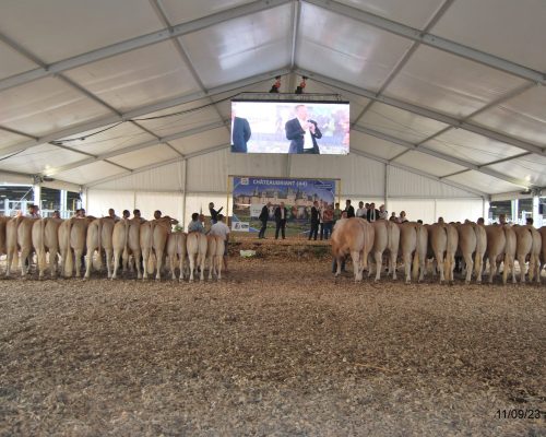 Le classement des Prix d'Ensemble